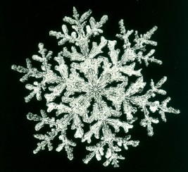 snowflake0572